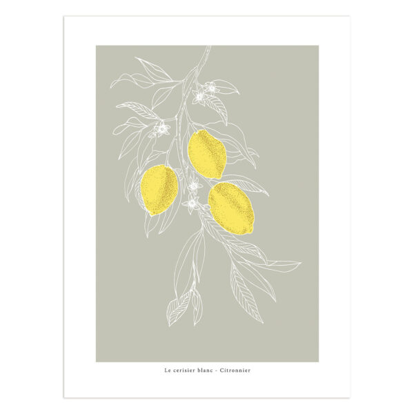 Affiche 30x40 Le Cerisier Blanc – Image 10